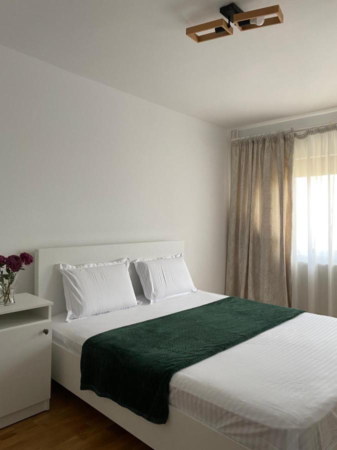 Virginia's Apartment Pitesti