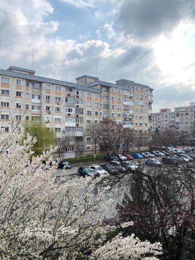 Virginia's Pitesti